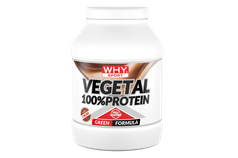 Proteine vegane, pudra proteica Why Sport, Vegetal 100% Protein, 750g / 25portii